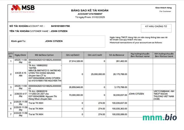 Wietnam HSBC szablon w formacie excel pdf